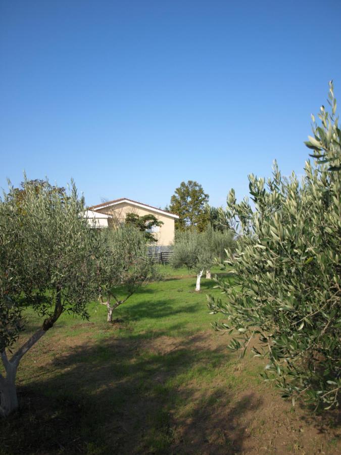 Παληοκτημα - Palioktima 2 Apartman Neon Rysion Kültér fotó